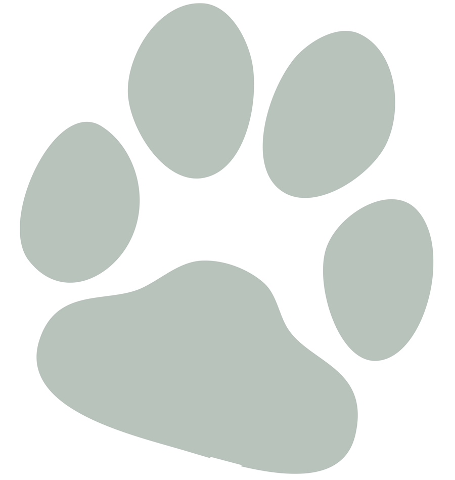 Perché scegliere un berretto abbinato per te e il tuo cane