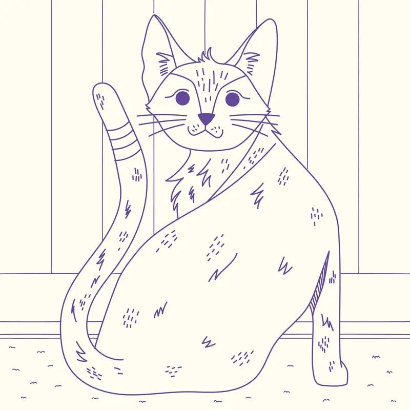 Caratteristiche tecniche e materiali del miglior zaino per gatti